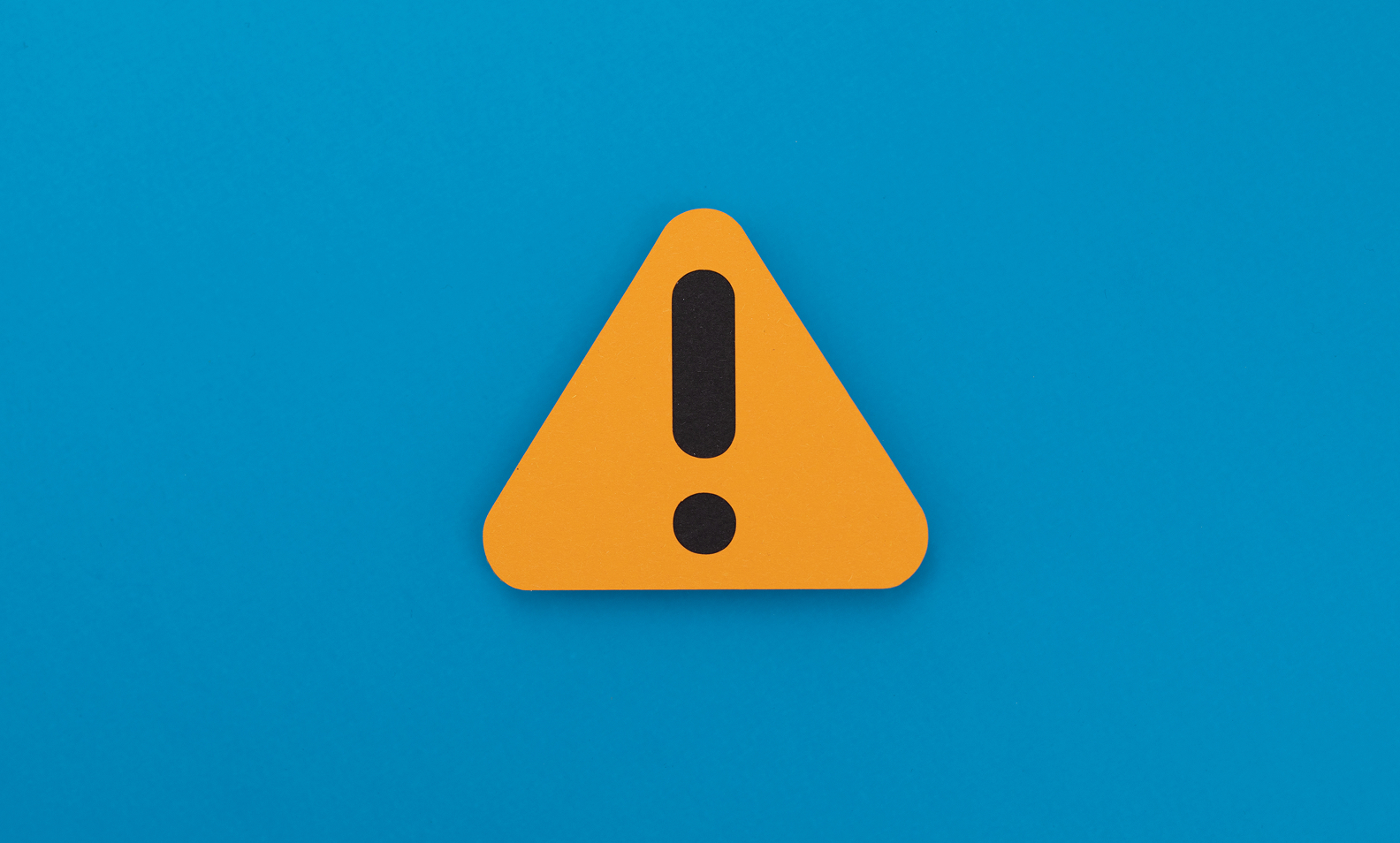 見せ板は本当に存在する？見分け方と注意点